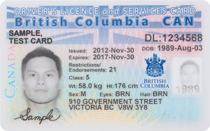 Canada driver license template download 2018