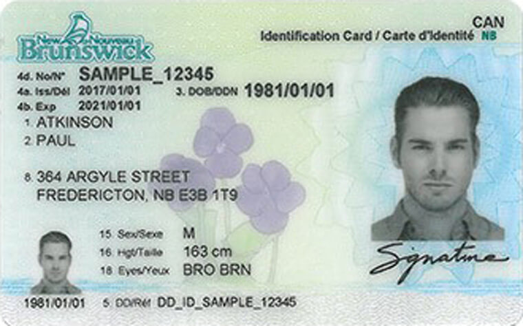 fake uk driving license counterpart