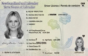 newfoundland permit test labrador nl practice licence drivers learner 2021