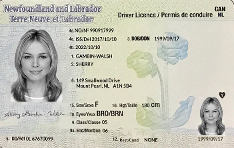 https://s.tests.ca/img/licence/newfoundland-drivers-licence.jpg