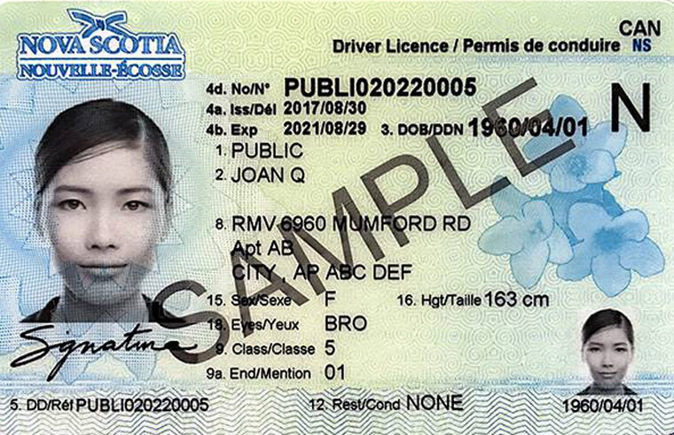 License ended. Driver License. Toronto Driver License. Driver License Canada. New Brunswick New Driver License.